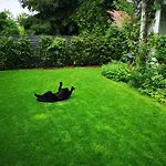 Spacious 3 Bedroom Family Oasis With Sauna, 20 Min From Warsaw *