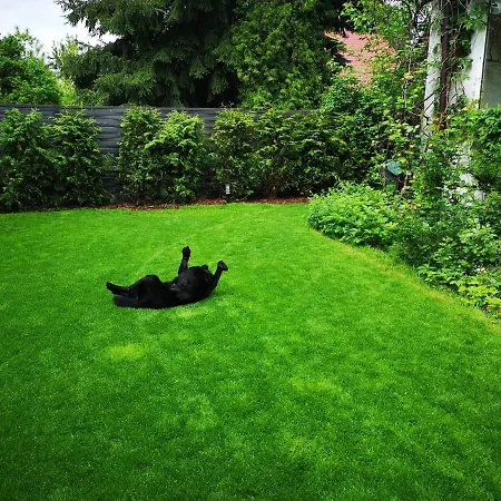 Spacious 3 Bedroom Family Oasis With Sauna, 20 Min From Warsaw *